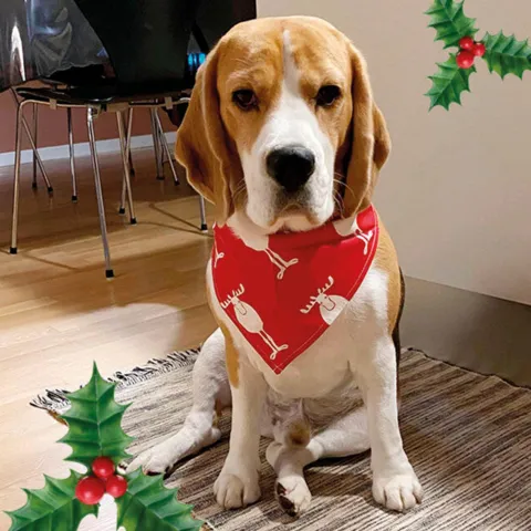 Julebandana med rensdyr