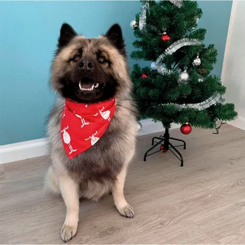 Julebandana med rensdyr