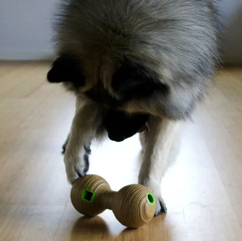 KONG Bamboo feeder dumbell