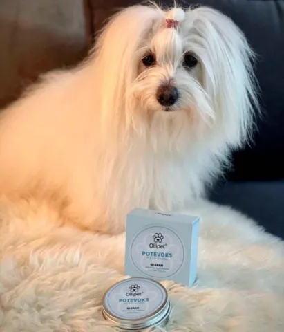 Ollipet Økologisk Potevoks | 60g til hunde. Fugter og forebygger sprækkede, ømme poter
