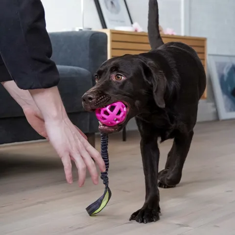 Trixie Bungee Tugger med bold