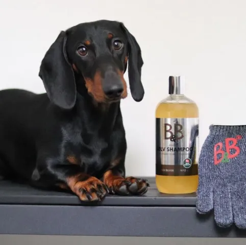 B&B Sølv Shampoo | Kolloid