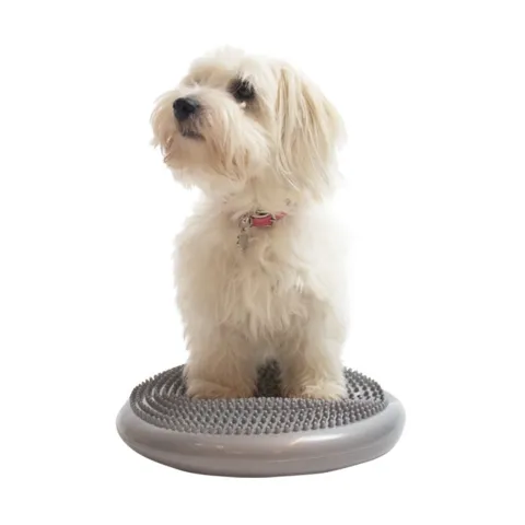 Ollipet Balancepude
