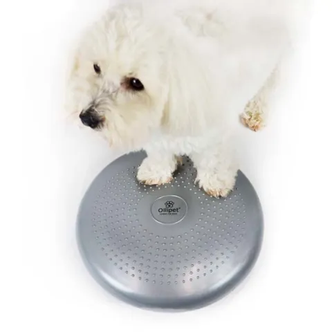 Ollipet Balancepude