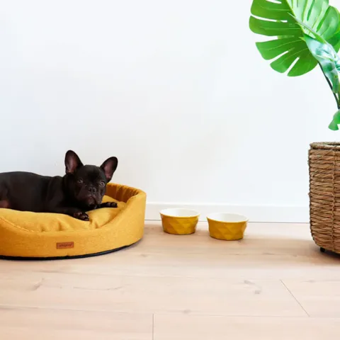Amiplay Oval Hundeseng | Color