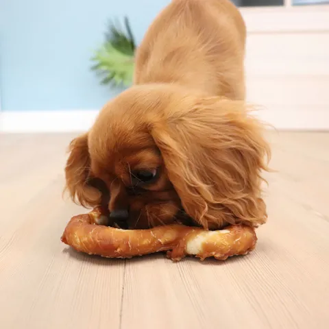 George og Denta Fun Chicken Heart