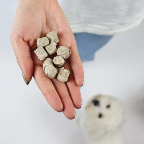 Frysetørret Snacks med Okse
