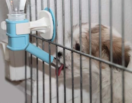Ollipet Pet water feeder | Drikketud