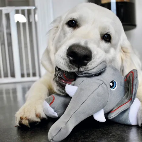 KONG Cozie Ultra Ella Elephant