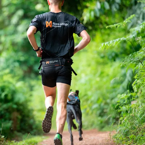Non-Stop Dogwear CaniX Belt | OUTLET