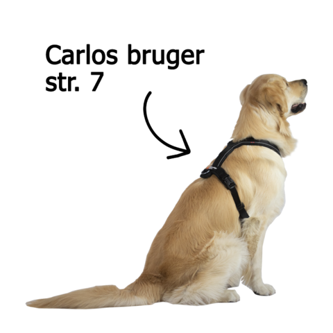 Non-Stop Dogwear Line Harness 5.0 | OUTLET