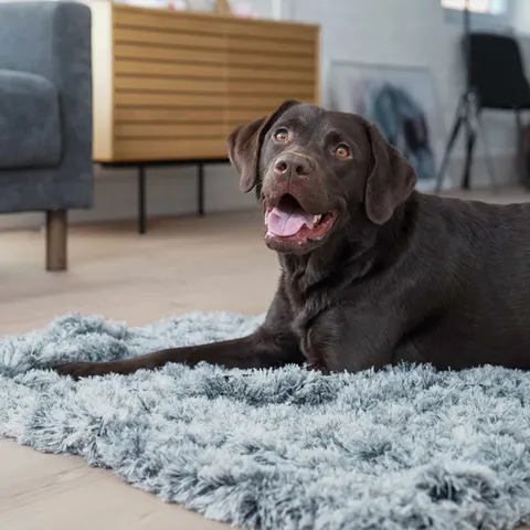 Ollipet Soft Cloud hundetæppe