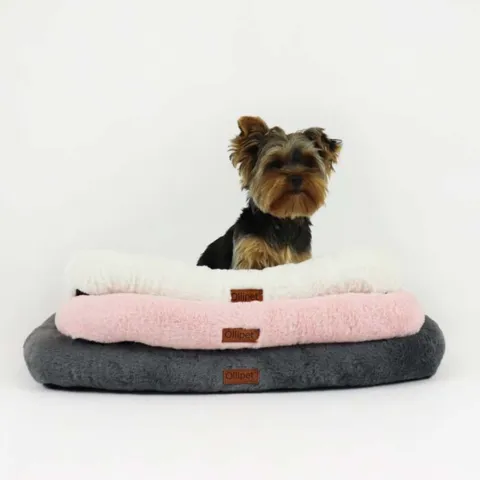 Ollipet Luksus Madras