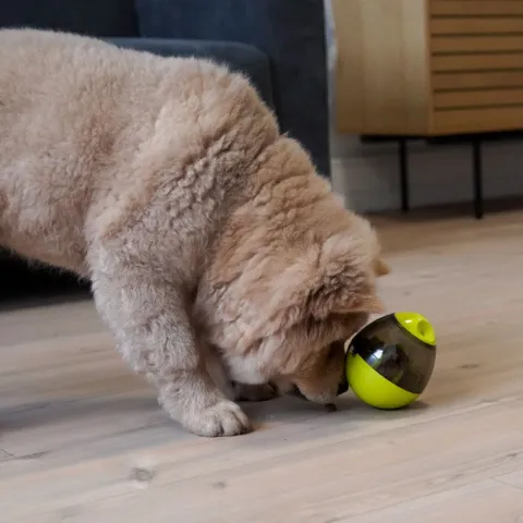 Nordic Paws Aktivitetsæg