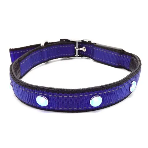 SOLID LED-halsbånd Royal Blue