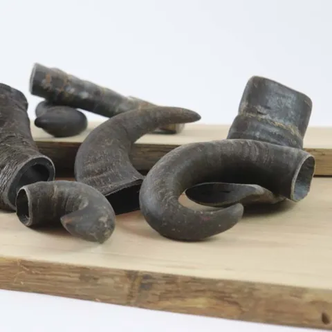 NATURBEN  Buffalo Horn