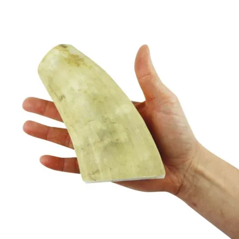 NATURBEN Cattle Horn