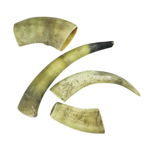NATURBEN Cattle Horn