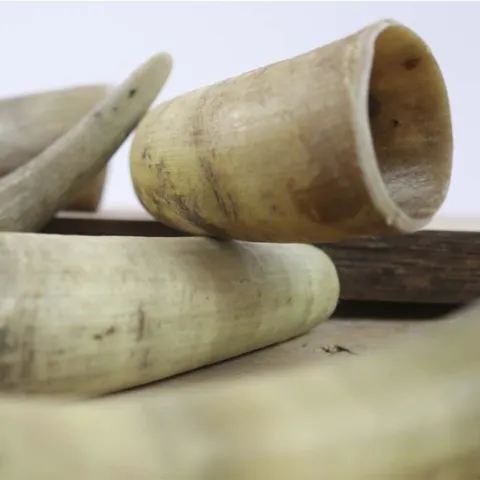 NATURBEN Cattle Horn