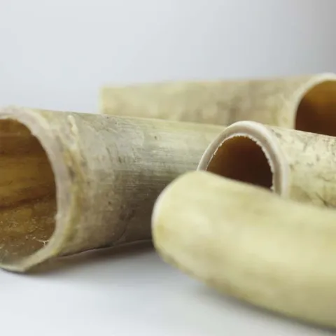 NATURBEN | Cattle Horn