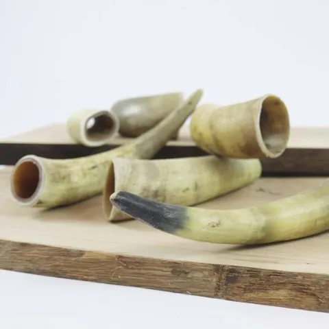 NATURBEN Cattle Horn