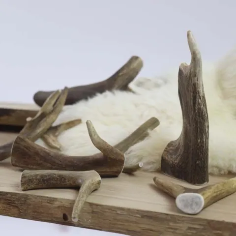 NATURBEN Dådyrgevir