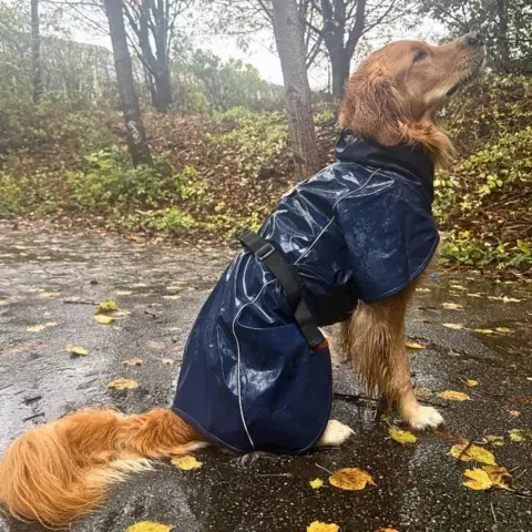 Trixie Be Nordic Husum regnfrakke