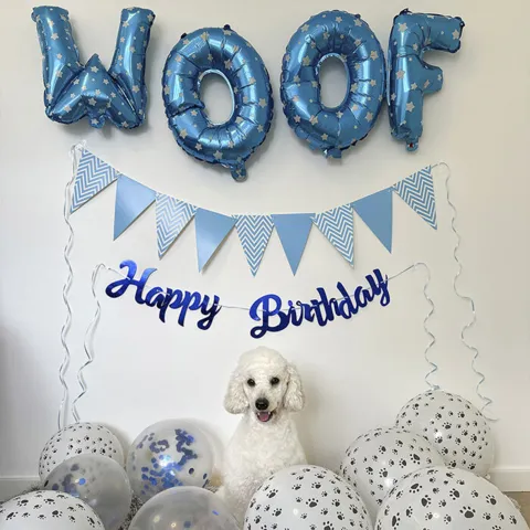 Ollipet WOOF Party diagender I Blå & Kode