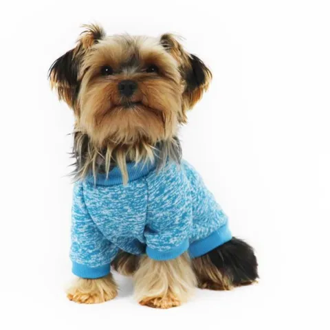 Ollipet Softy Hundetrøje | OUTLET