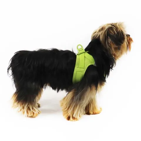 Curli Clasp Air Mesh Step-in Hundesele I Alex har str. XXS på