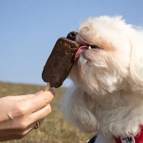 Trixie Dentafun hundeis | Chicken Pops