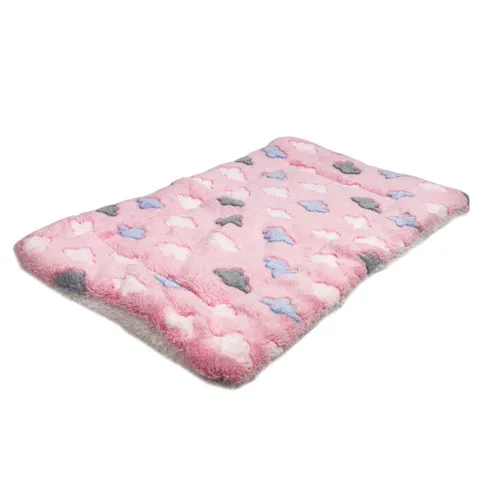 Ollipet Wellness Madras