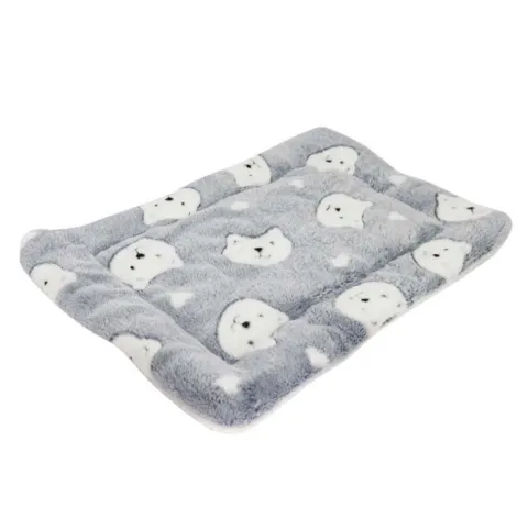 Ollipet Wellness Madras