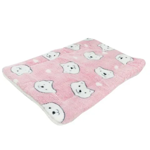 Ollipet Wellness Madras