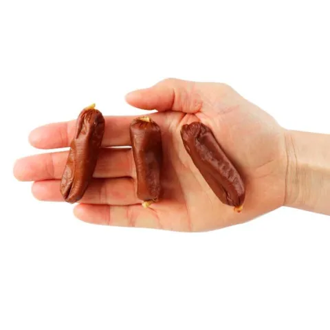 Companion Soft Sausage Duck | 100g