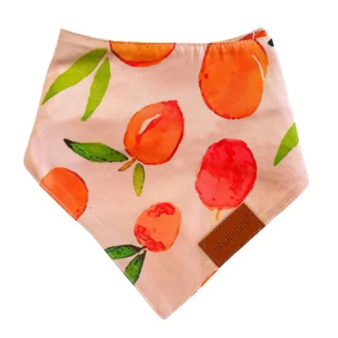 Ollipet Trendy Bandana