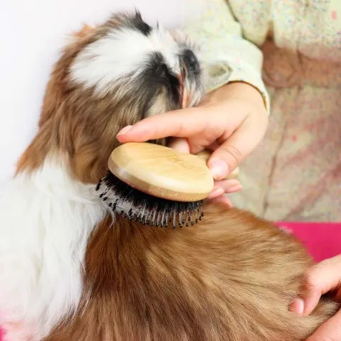 Ollipet Natural Mini Bambusbørste | Mix Brush