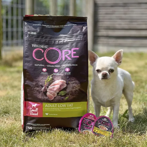 CORE Adult Low Fat - Small Breed | Tørfoder