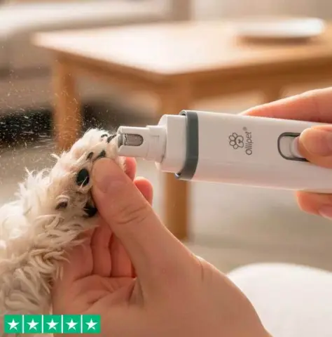 Smart elektronisk klofil - gør ikke ondt på hunden!