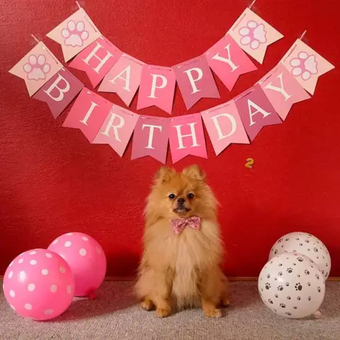 WOOF fødselsdagspakke PINK