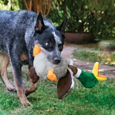 KONG Shakers Honkers Duck
