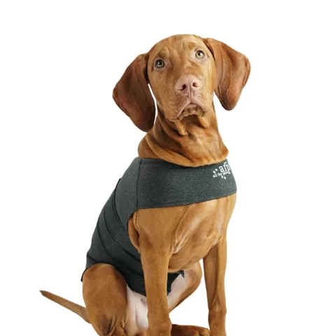AFP Stay Calm Anti angst Vest