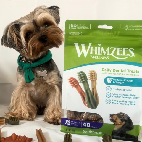 WHIMZEES Tandbørster | 360g