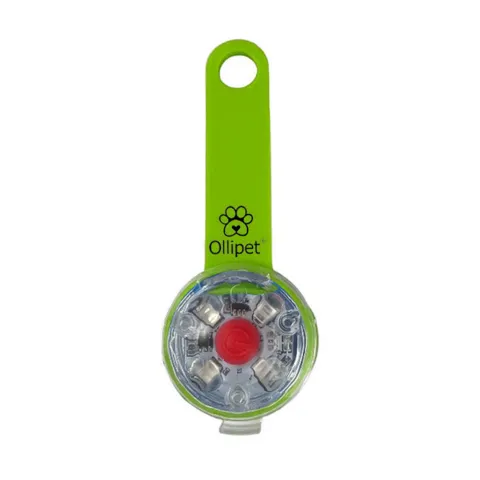 Ollipet LED Light in the dark