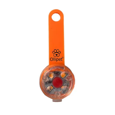 Ollipet LED Light in the dark | Genopladelig
