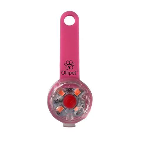Ollipet LED Light in the dark