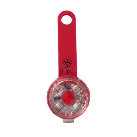 Ollipet LED Light in the dark