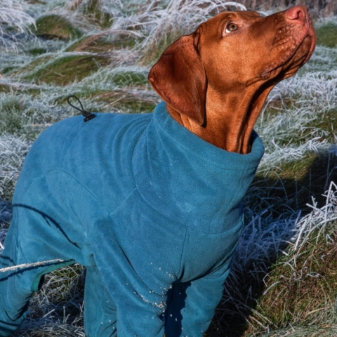Ollipet Lun Fleecedragt