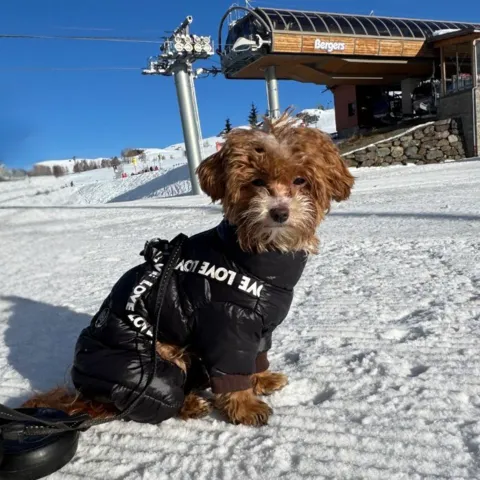 Varm hundejakke, perfekt til de kolde måneder