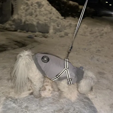 Hundejakke der er vandafvisende og foret med blødt fleece